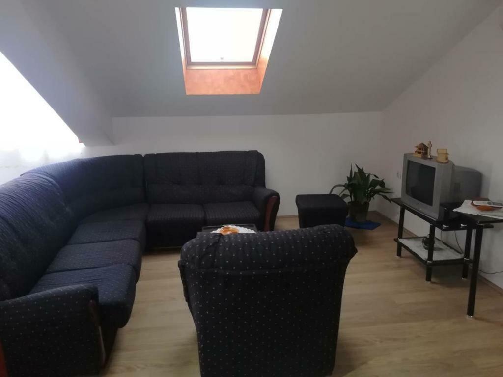 Apartman Ivana Ica Sokobanja Exterior foto