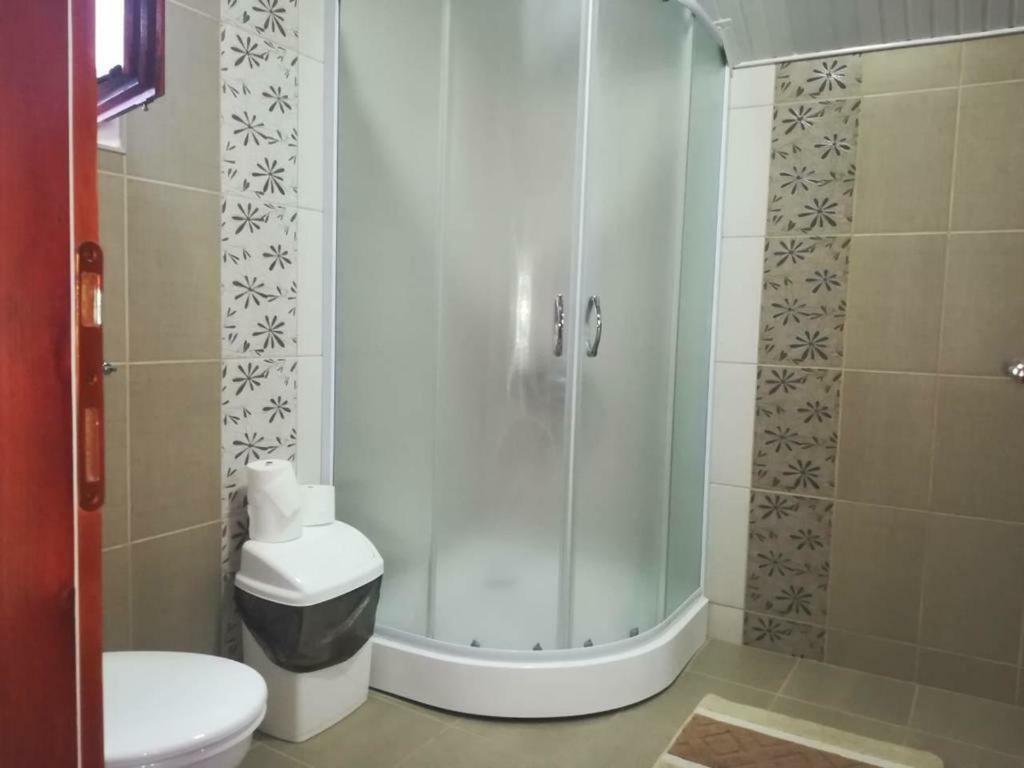Apartman Ivana Ica Sokobanja Exterior foto